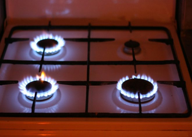 2022-2024 une guerre en Europe, du gaz, de l’inflation… : Une Crise et ses réponses