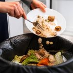 Ademe gaspillage alimentaire : chiffres, causes et solutions pour le réduire