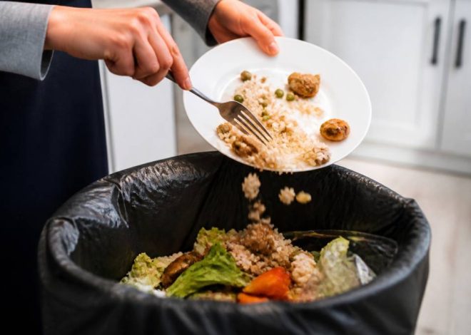 Ademe gaspillage alimentaire : chiffres, causes et solutions pour le réduire