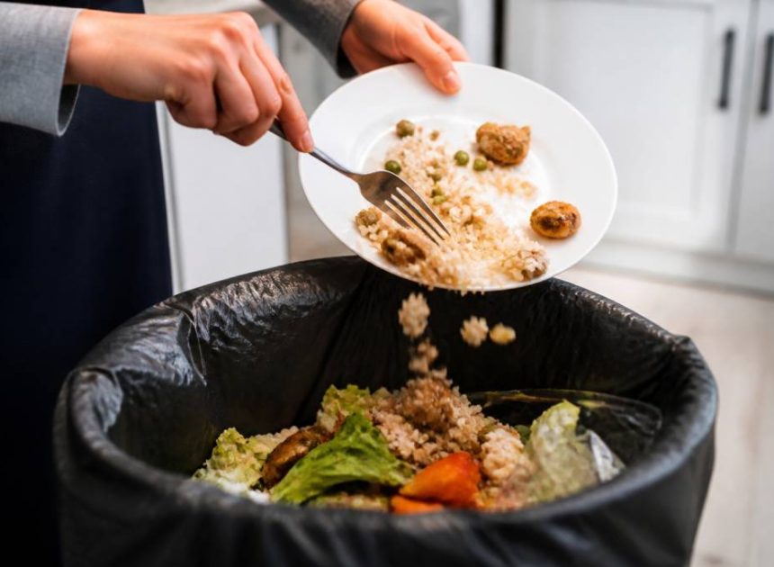 Ademe gaspillage alimentaire : chiffres, causes et solutions pour le réduire