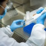Activités développement durable : 10 initiatives concrètes pour réduire son impact environnemental